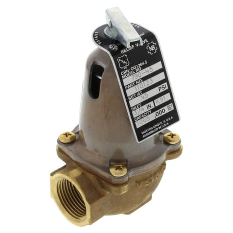 Bell & Gossett 110123 790-45, 1,065,000 BTU Capacity Relief Valve  | Blackhawk Supply