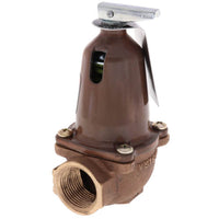 110125 | 790-75, 1,615,000 BTU Capacity Relief Valve | Bell & Gossett