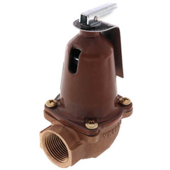 Bell & Gossett 110127 790-125, 2,535,000 BTU Capacity Relief Valve  | Blackhawk Supply