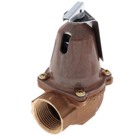 110135 | 1170-125, 3,735,000 BTU Capacity Relief Valve | Bell & Gossett