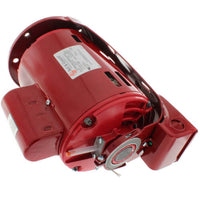 169051 | Power Pack Single Phase Motor - 115/230V, 3/4 HP | Bell & Gossett