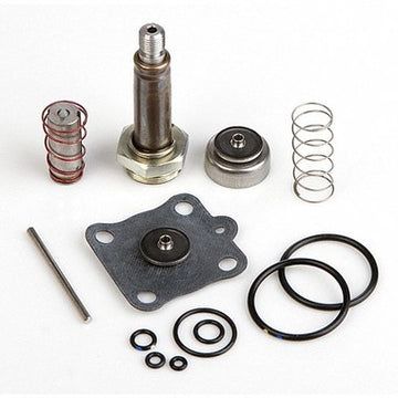 ASCO 314491 Rebuild Kit 314491 for 8316G054 Normally Closed Valve  | Blackhawk Supply