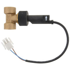 Lochinvar 100278092 Flow Switch with Brass Tee  | Blackhawk Supply