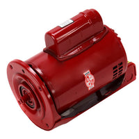 169230 | Ball Bearing Motor, 3/4 HP (PD-37S, Series 60) | Bell & Gossett