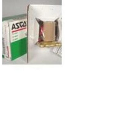 ASCO 304394 Rebuild Kit 304394 for 8220G007 Normally Closed Valve  | Blackhawk Supply