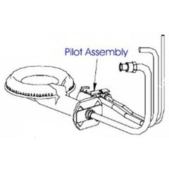 Bradford White 2334024805 Pilot Assembly Natural Gas for Model MI30TEN-10  | Blackhawk Supply