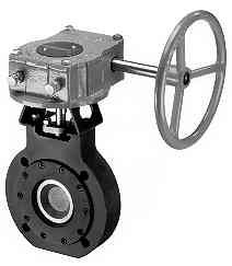 Johnson Controls VFM-040ZE-000G 4IN2-WAYBTFLYVLV  | Blackhawk Supply