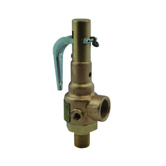 Conbraco Industries 19-KEDA-170 3/4"x1" 170# 1857pph Steam Rlf  | Blackhawk Supply
