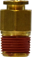 Midland Metal Mfg. 20039 1/4 X 1/16 MALE CONNECTOR, Brass Fittings, Brass Push In Fittings, Male Connector  | Blackhawk Supply