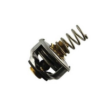 Barnes & Jones 1721 Cage Unit 1721 A-Diaphragm for Thermostatic Steam Trap  | Blackhawk Supply