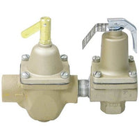 S1450F | Control Valve Dual 1/2 Inch Union Sweat/FNPT Cast Iron 212 Degrees Fahrenheit for Residential and Commercial Hydronic Heating Systems | Watts