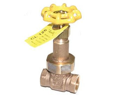 Apollo Valves 3028801 VLV | GATE NRS | 2"NPT | 30 SER  | Blackhawk Supply