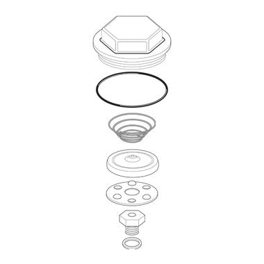 Spirax-Sarco 66445 Repair Kit 3/4 Inch for TH-25/125 Balanced Pressure Thermostatic Steam Trap  | Blackhawk Supply