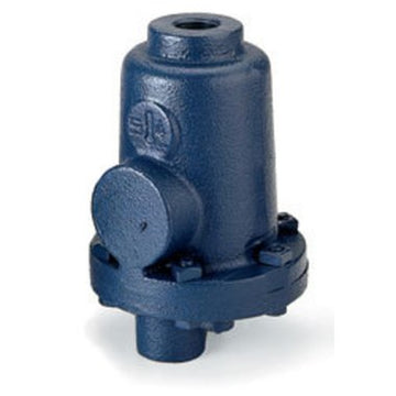 Armstrong C4298-2 Drain Trap Liquid 1/2 Inch 1LD 300 Cast Iron  | Blackhawk Supply