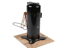 Lennox 40W58 LG SQA038KAA, 37000 BTUH Scroll Compressor, R-22, 11.1 EER, 208-230 VAC 1 Ph 60 Hz  | Blackhawk Supply