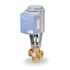 Image for  Steam Valves