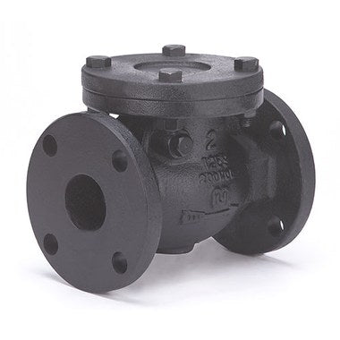 Milwaukee Valves F2974M-212 Check Valve 2-1/2 Inch Cast Iron Horizontal Swing Flanged 125SWP/200WOG  | Blackhawk Supply