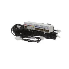 Rinnai 805000041 Wiring Harness E  | Blackhawk Supply