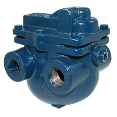 Armstrong D1175-2 Steam Trap Float & Thermostatic 3/4 Inch 30B3 30 PSIG with Air Vent Threaded  | Blackhawk Supply