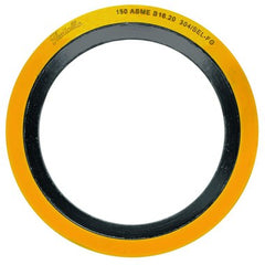 Spiral Wound Gaskets 150304-12 Gasket 1/2 Inch150# 304 Graphite  | Blackhawk Supply