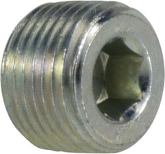 Midland Metal Mfg. 5406HHP12 3/4 HHP PLUG, Hydraulic, Steel Pipe Fittings, Hollow Hex Plug  | Blackhawk Supply