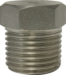 Midland Metal Mfg. 62631B1 1/4 1000#/3000# T-304 B/S HEX HEAD PLUG  | Blackhawk Supply