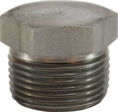 Midland Metal Mfg. 63663 1/2 316SS SOLID HEX HEAD PLUG, Nipples and Fittings, 304 And 316 150# Stainless Steel Fittings, Solid Hex Head Plug 316 S.S.  | Blackhawk Supply