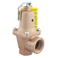 Watts 740-0502 Relief Valve 740 Boiler Pressure 2 Inch Female Threaded Iron 30 to 75 Pounds per Square Inch 250 0384292  | Blackhawk Supply