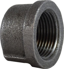 Midland Metal Mfg. 65471 1/4 BLK CAPS, Nipples and Fittings, Black Iron 150# Malleable Fitting, Black Cap  | Blackhawk Supply