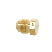 DP2-6 | 3/8in. Plug Pack of 10 | DiversiTech