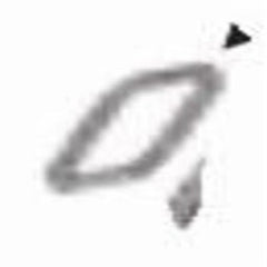 Weil Mclain 590735150 Sealing Rope Glass 3/8 Inch for 88/94 Boiler 20 Feet  | Blackhawk Supply
