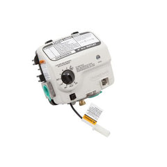 Water Heater Parts 100262939 Valve Kit Water Heater Service Natural Gas 2 Inch 100262939  | Blackhawk Supply