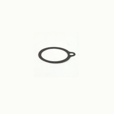 Armstrong A22182-1 Gasket Body for 813/883  | Blackhawk Supply