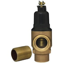 Webstone H-20723 Relief Valve Pressure 3/4 Inch MIP  | Blackhawk Supply