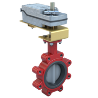3LNE-25S2C/DS24-180 | Butterfly Valve | 2 Way | 2.5 Inch | Nylon Coated Disc | 175 PSI | 24 VAC/DC Spring Return Actuator | Normally Closed | On-Off Control | Bray