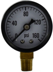 Midland Metal Mfg. 80502 1 1/2 0-30psi  1/8 LM, Pneumatics, Gauges, Dry Gauge 1-1/2 face 1/8 lower Mount  | Blackhawk Supply