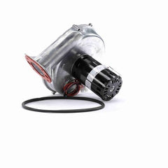Fasco Motors A273 Inducer Blower Motor A273 1/8 Horsepower 208/230 Volts Clockwise 3500RPM  | Blackhawk Supply