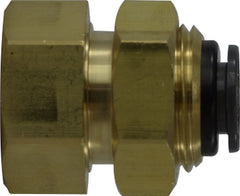 Midland Metal Mfg. 860604C 3/8X1/4 (PI X F DOT BULKHD UNION COMPOSITE), Brass Fittings, DOT Composite Body Push-In, DOT Composite Style Push-In Female Bulkhead Connector  | Blackhawk Supply