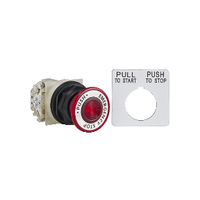 9001SKR9R05H13 | PUSHBUTTON 600VAC 10AMP | Square D by Schneider Electric