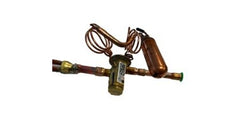 Lennox 91W15 R100796-06 ASSY-EXP VALVE  | Blackhawk Supply