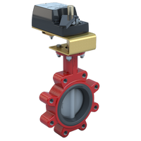3LNE-03S2C/DM24-210 | Butterfly Valve | 2 Way | 3 Inch | Nylon Coated Disc | 175 PSI | 24 VAC/DC Non-Spring Return Actuator | Modulating Control | Bray