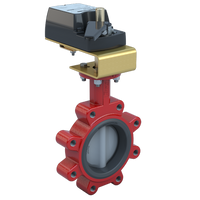 3LNE-03S2C/DM24-210-A | Butterfly Valve | 2 Way | 3 Inch | Nylon Coated Disc | 175 PSI | 24 VAC/DC Non-Spring Return Actuator | With Aux. Switch | Modulating Control | Bray