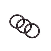 100074534 | O-Ring P26 NBR | Water Heater Parts