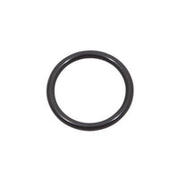 100076492 | O-Ring P20 Viton | Water Heater Parts