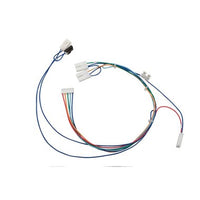 100074315 | Wire Kit Gas Valve | Water Heater Parts