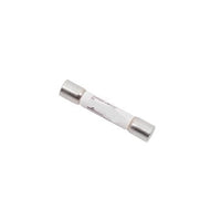 100299163 | Buss Fuse FNM 0.6 Amp | Water Heater Parts