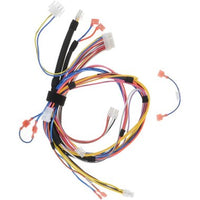100272818 | Wiring Harness AO Smith with Jumper 100272818 | Water Heater Parts