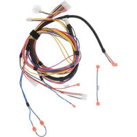 100272819 | Wiring Harness AO Smith with Jumper 100272819 | Water Heater Parts