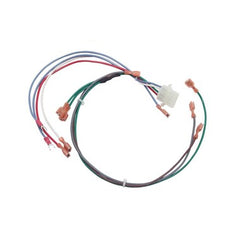 Water Heater Parts 100109917 Wiring Harness Ignition 100109917  | Blackhawk Supply