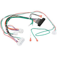 100276400 | Harness AO Smith Power 100276400 | Water Heater Parts